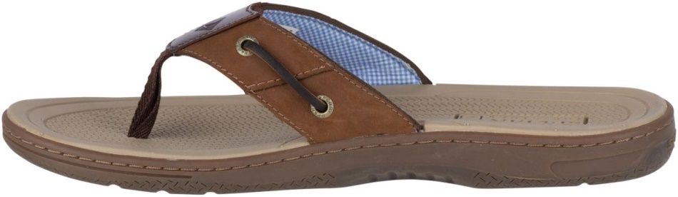 Baitfish Flip-Flops Sperry Brown
