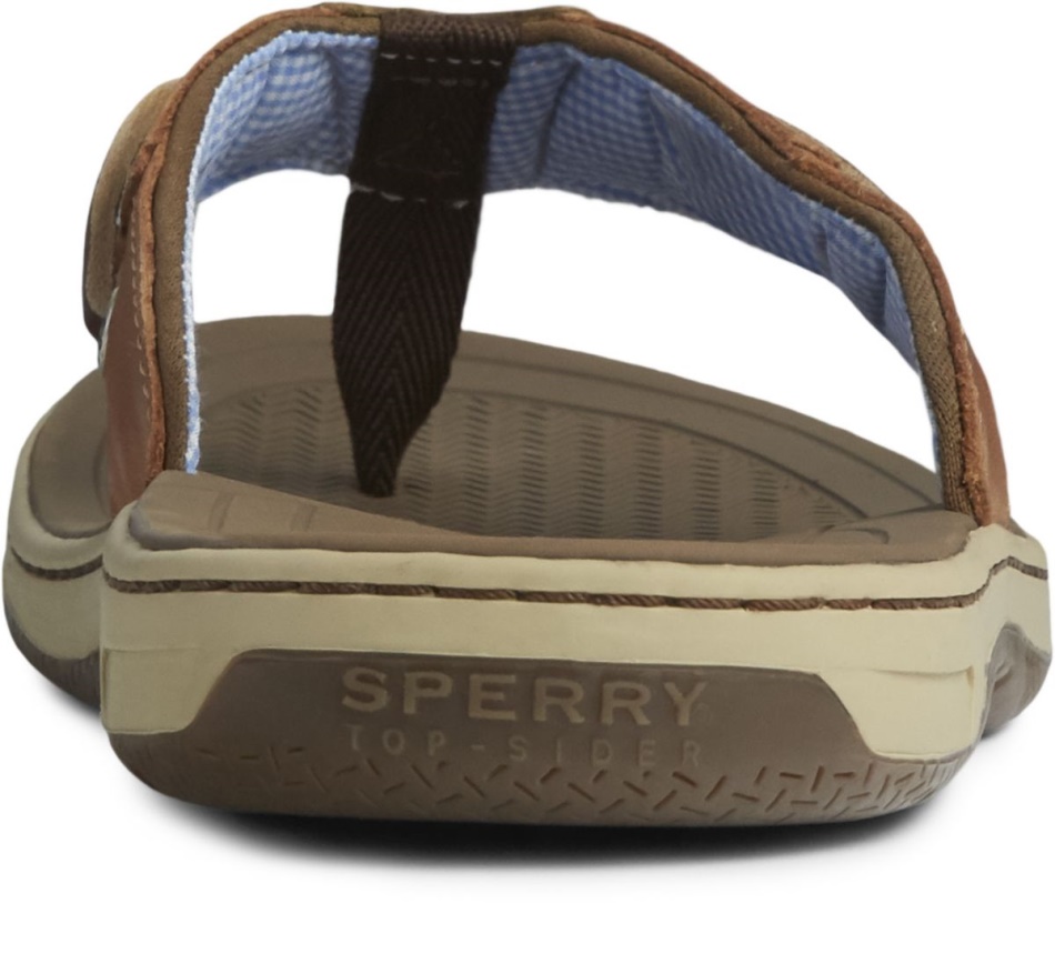 Baitfish Flip-Flops Tan Leather Sperry