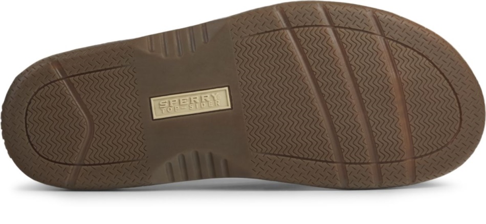 Baitfish Flip-Flops Tan Leather Sperry