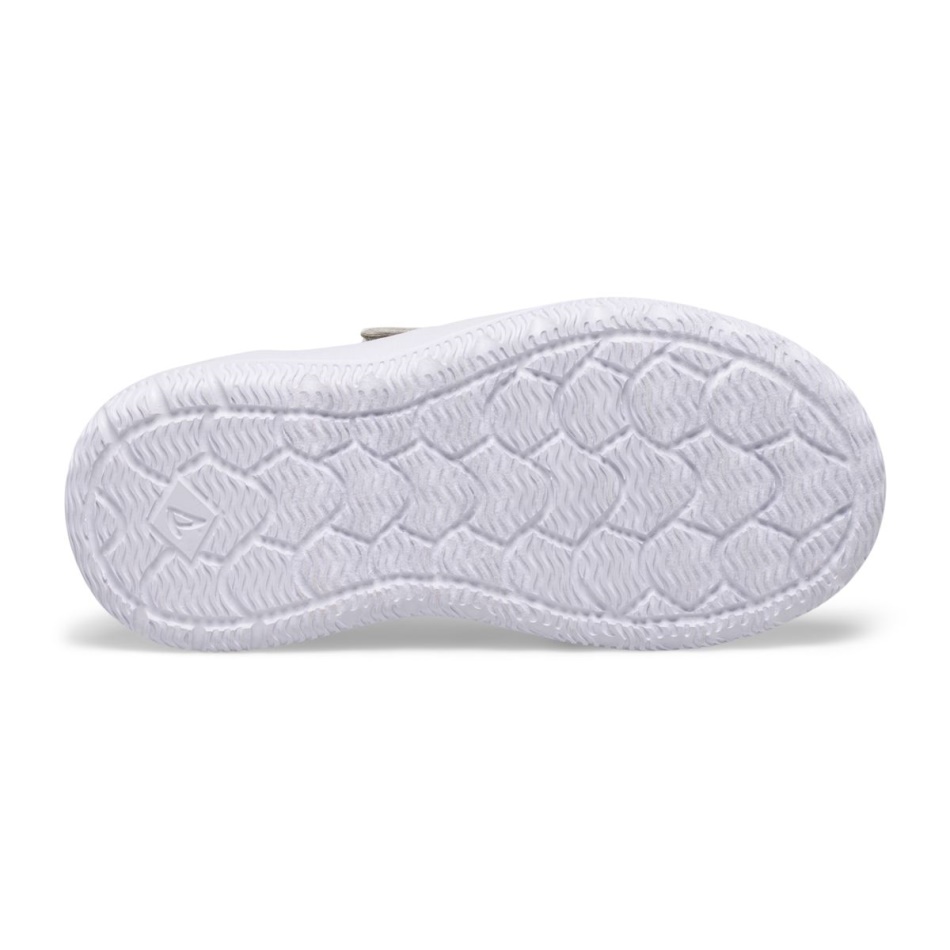 Coastal Break Junior Sneaker Grey Sperry