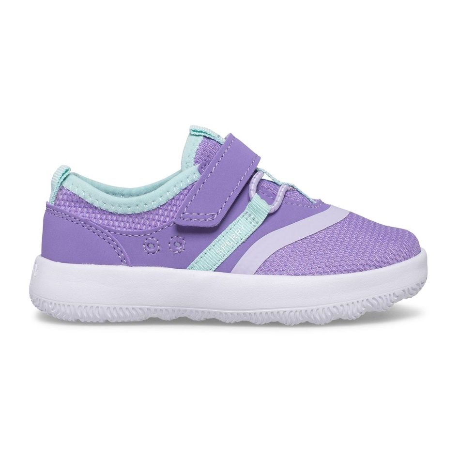 Coastal Break Junior Sneaker Purple Sperry