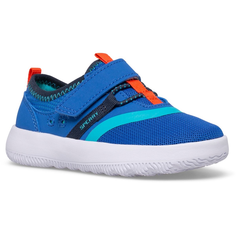 Coastal Break Junior Sneaker Sperry Blue