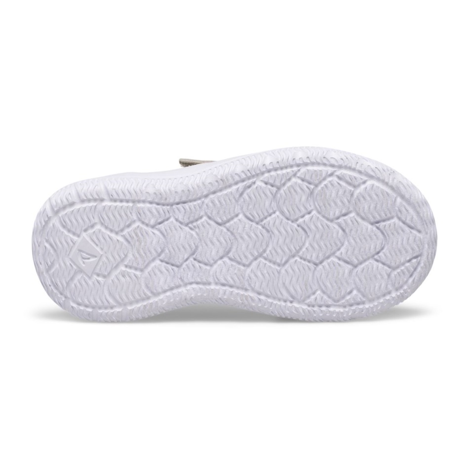 Coastal Break Junior Sneaker Sperry Grey Pink