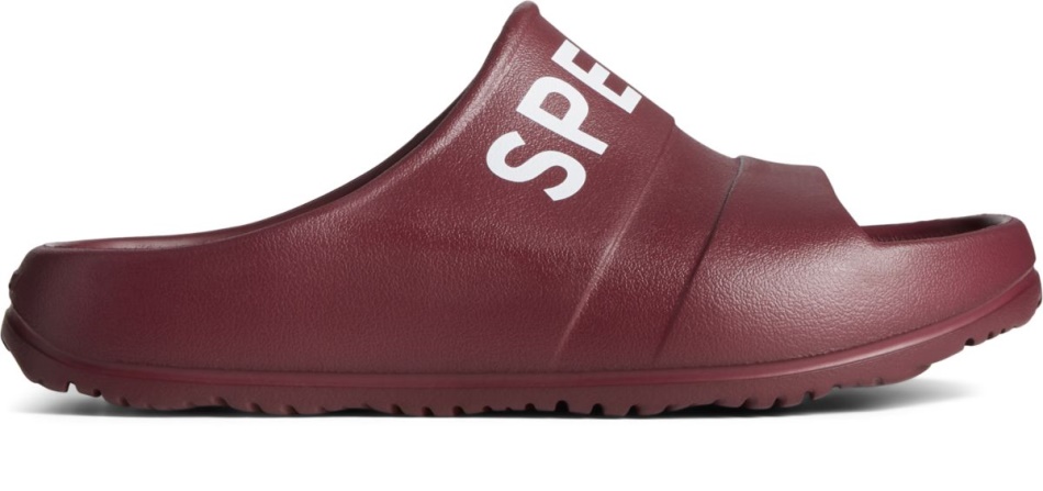 Float Slide Logo Sandal Cordovan Sperry