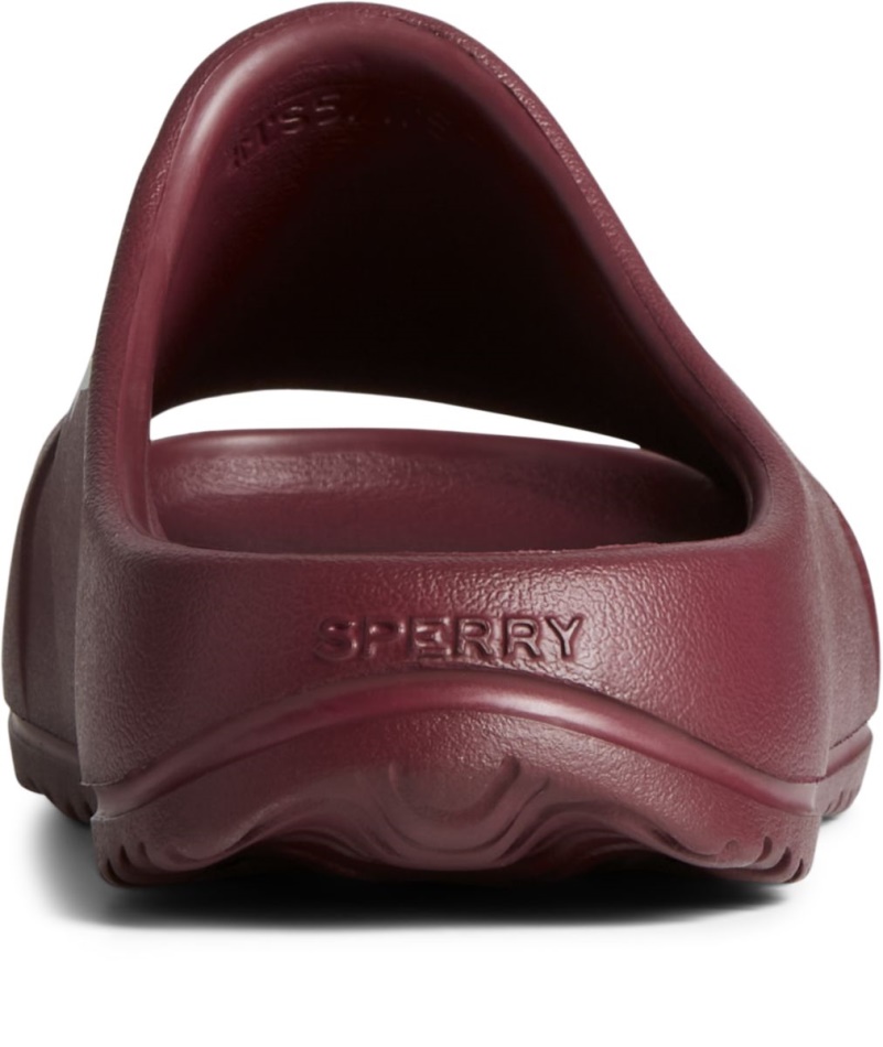 Float Slide Logo Sandal Cordovan Sperry