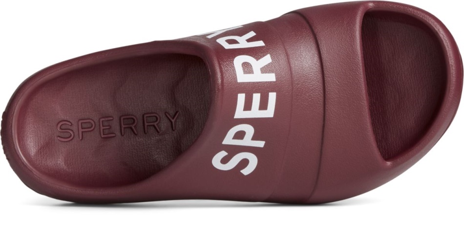 Float Slide Logo Sandal Cordovan Sperry