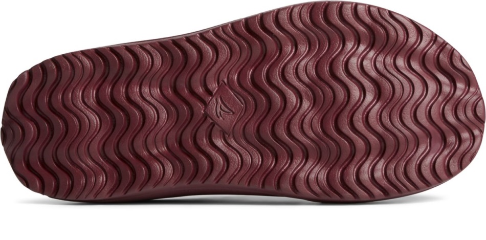 Float Slide Logo Sandal Cordovan Sperry