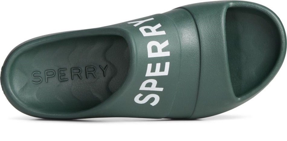 Float Slide Logo Sandal Olive Sperry
