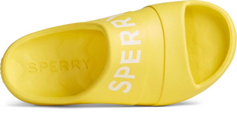 Float Slide Logo Sandal Sperry