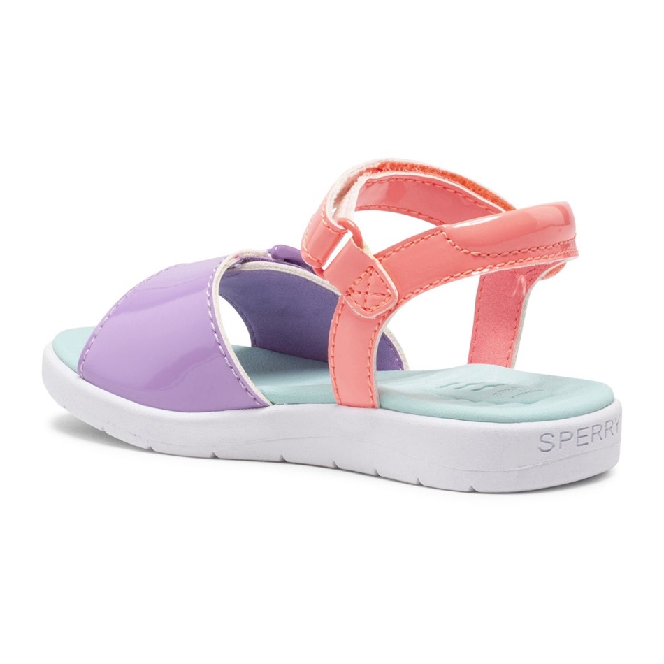 Galley PLUSHWAVE Sandal Sperry Multi
