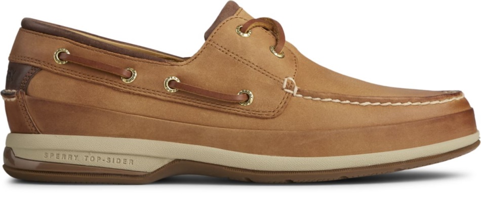Gold Cup Boat Shoe ASV Cymbal Sperry