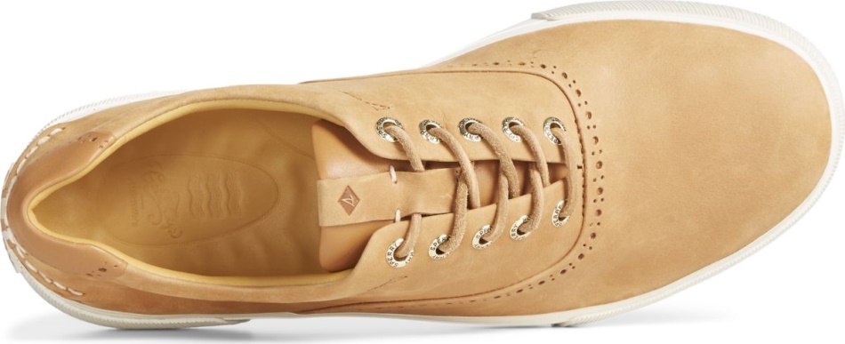 Gold Cup Striper PLUSHWAVE CVO Brogue Sneaker Tan Sperry
