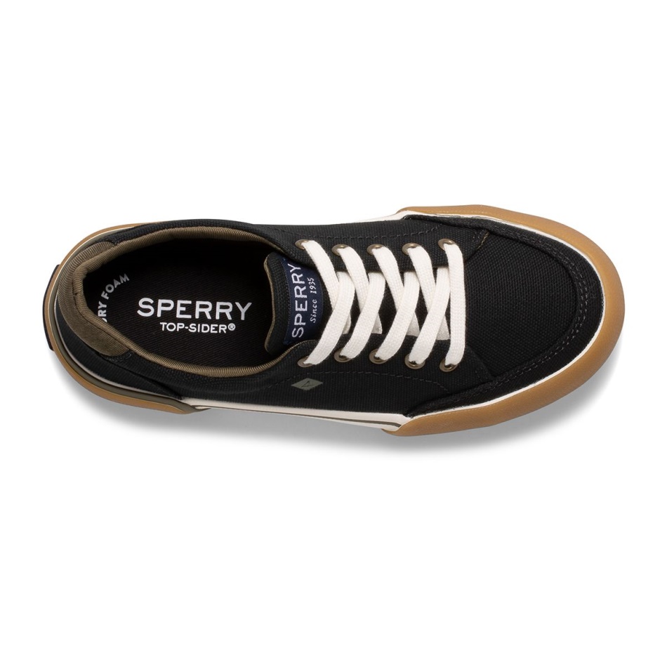 Harbor Tide Sneaker Black Sperry
