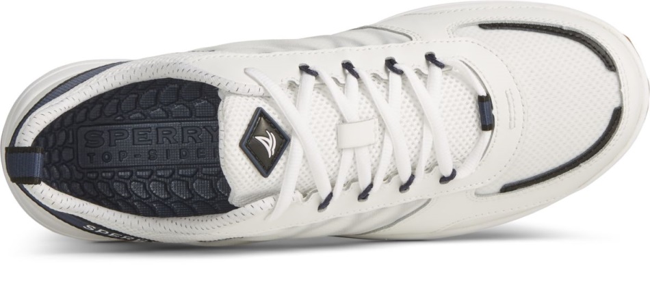 Harbormaster 20 Sneaker Sperry Natural