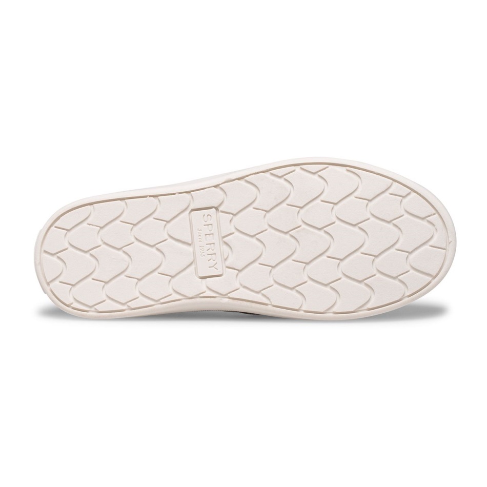 Salty Washable Sneaker Navy Sperry