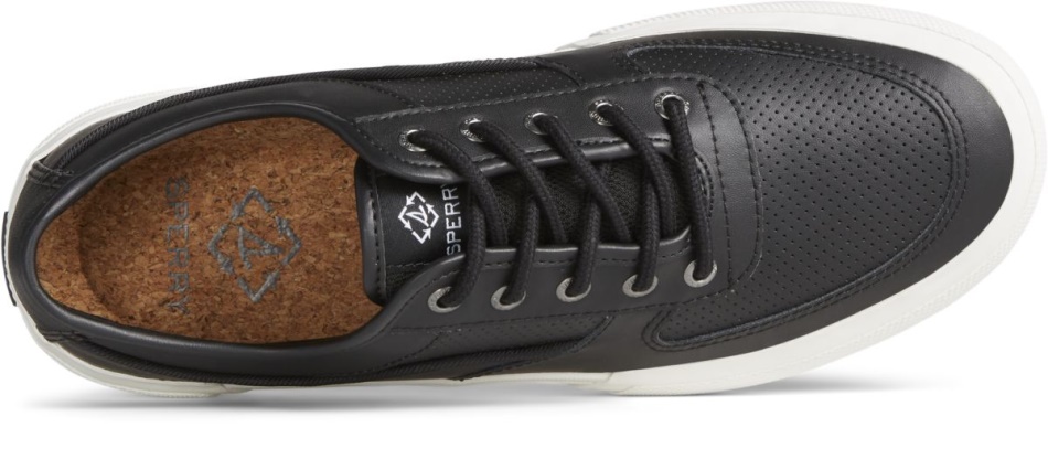 SeaCycled Soletide Sneaker Black Sperry