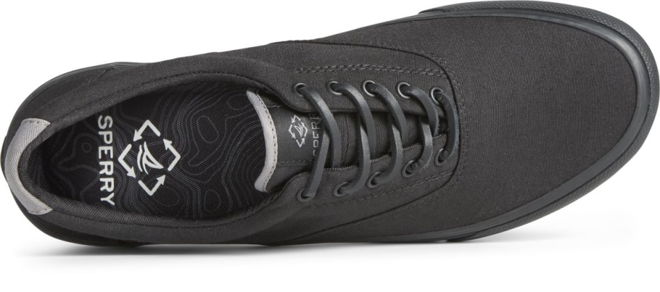 SeaCycled Striper II CVO Sneaker Sperry Blackout