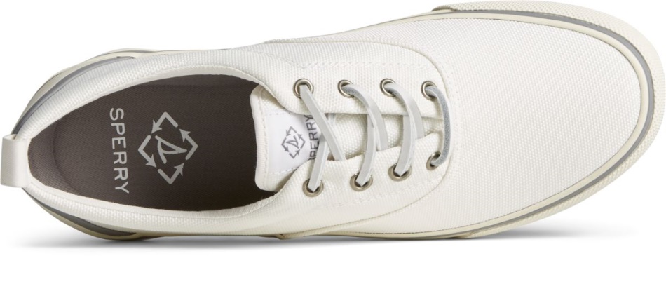 SeaCycled Striper II CVO Sneaker White Sperry
