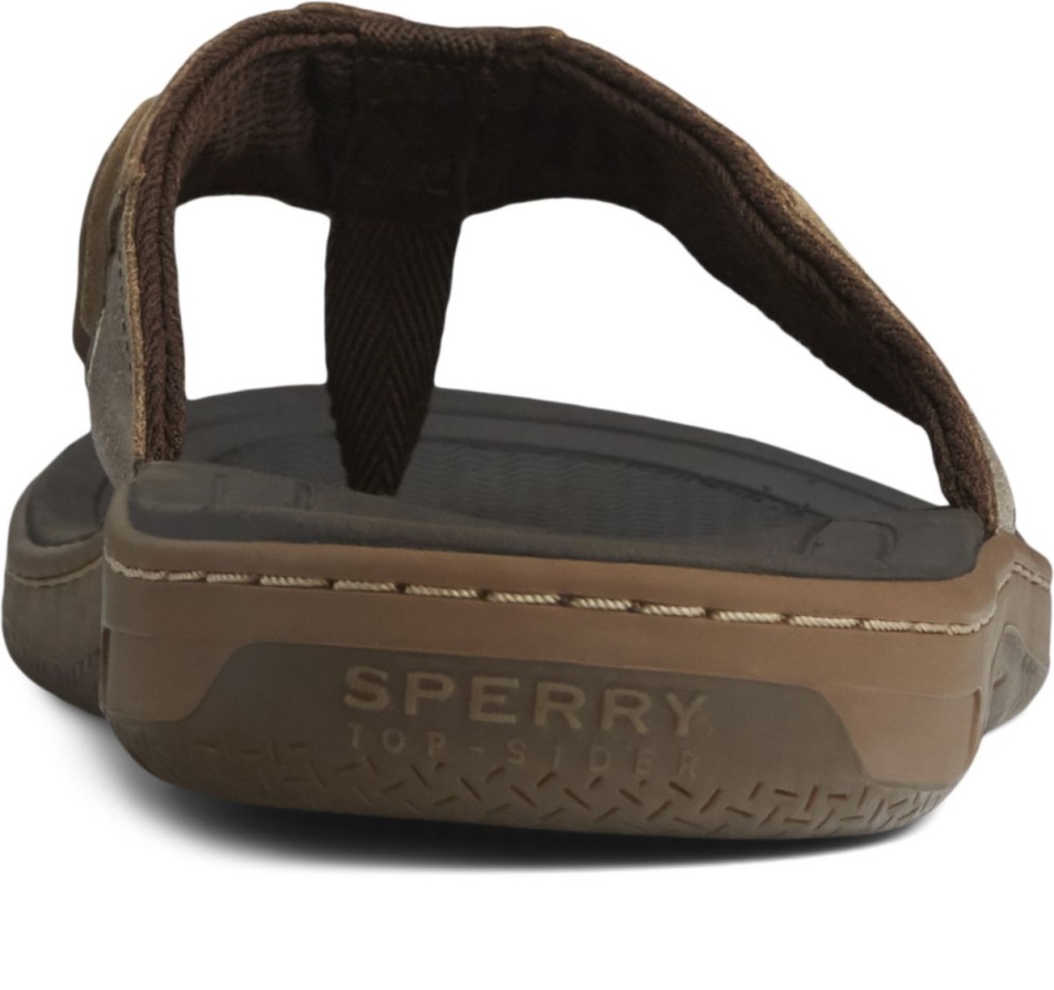 Sperry Baitfish Flip-Flops Brown