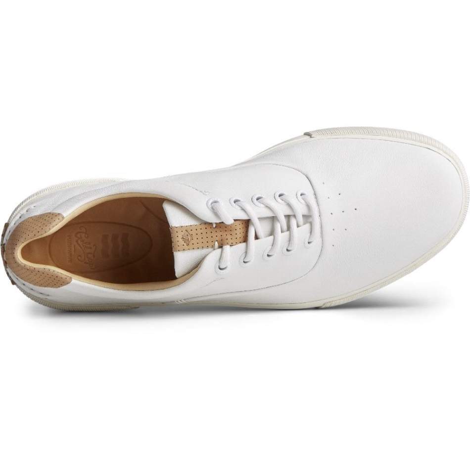 Sperry Male Gold Striper Plushwave Lace Shoes White