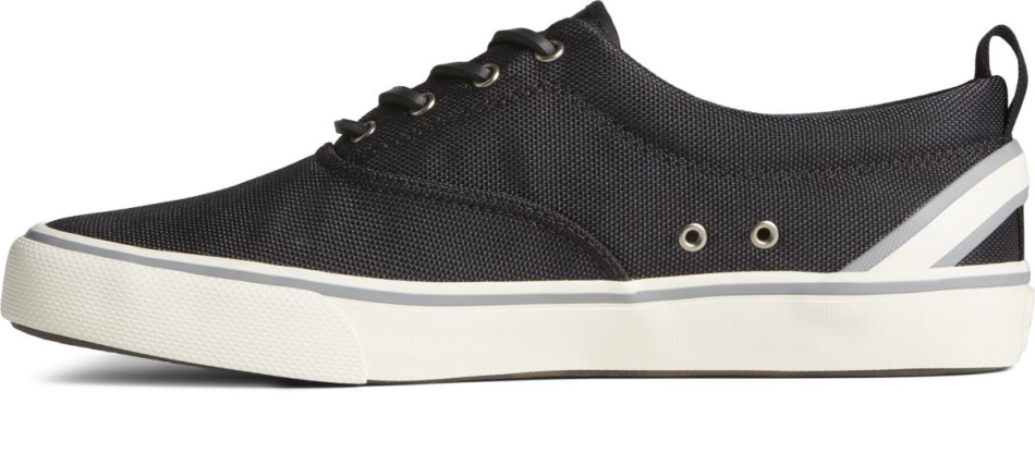 Sperry SeaCycled Striper II CVO Sneaker Black