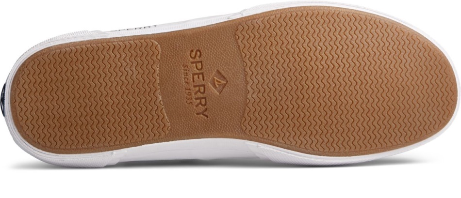 Sperry Soletide Sneaker White