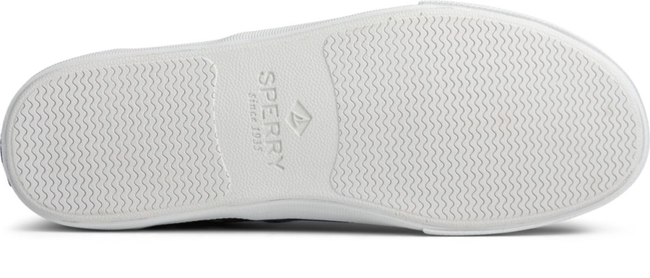 Sperry Striper II CVO Sneaker Black