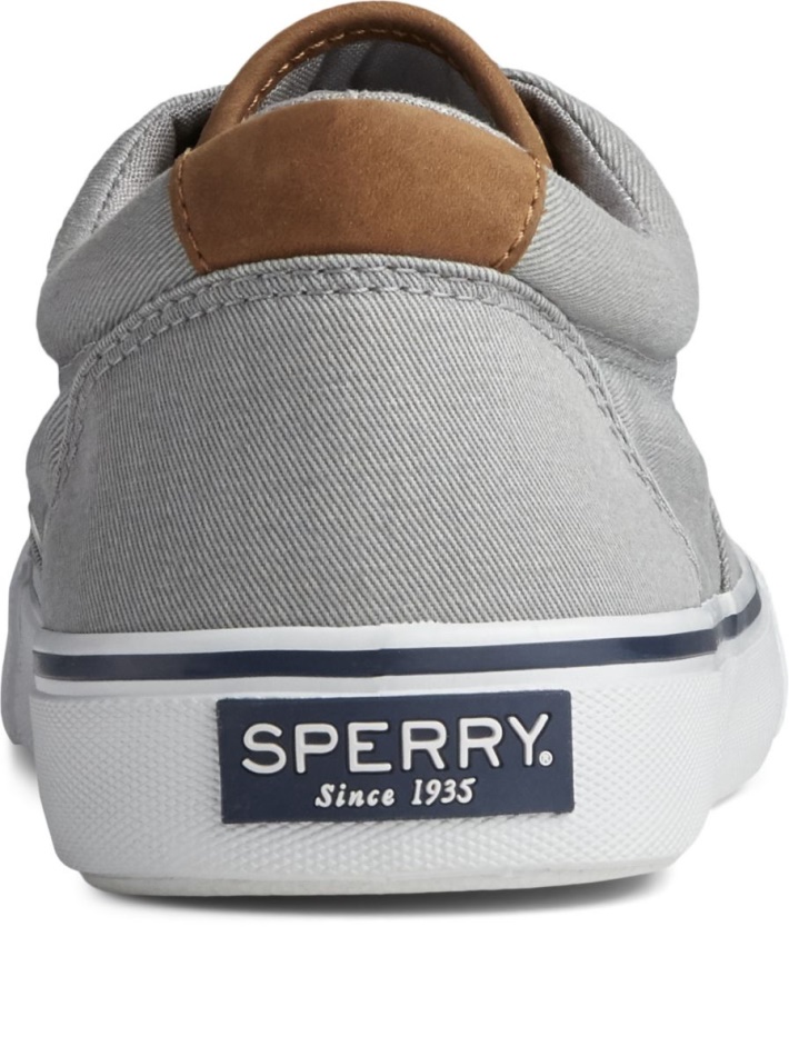 Striper II CVO Sneaker Grey Sperry