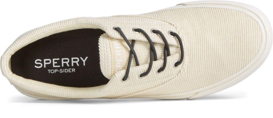 Striper II CVO Sneaker Ivory Sperry