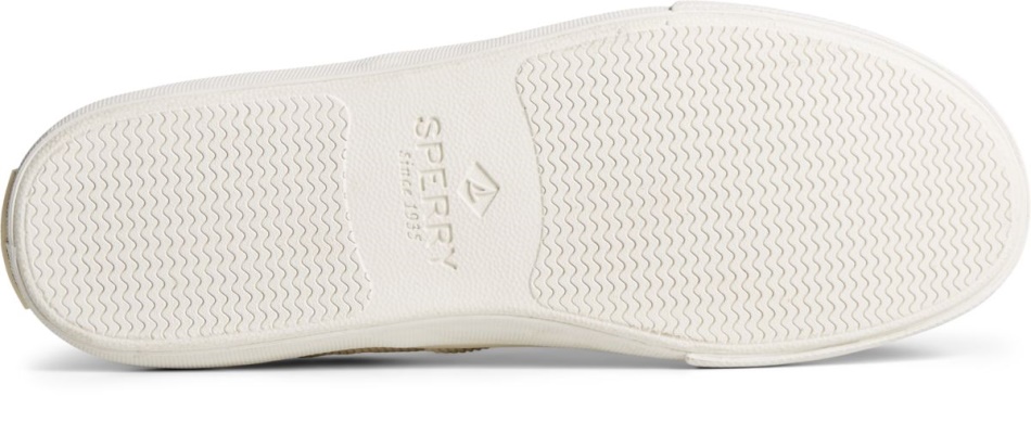 Striper II CVO Sneaker Ivory Sperry