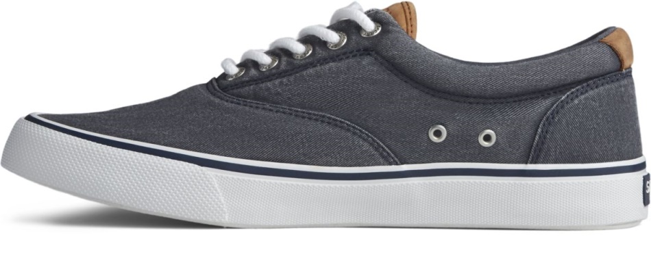 Striper II CVO Sneaker Navy Sperry
