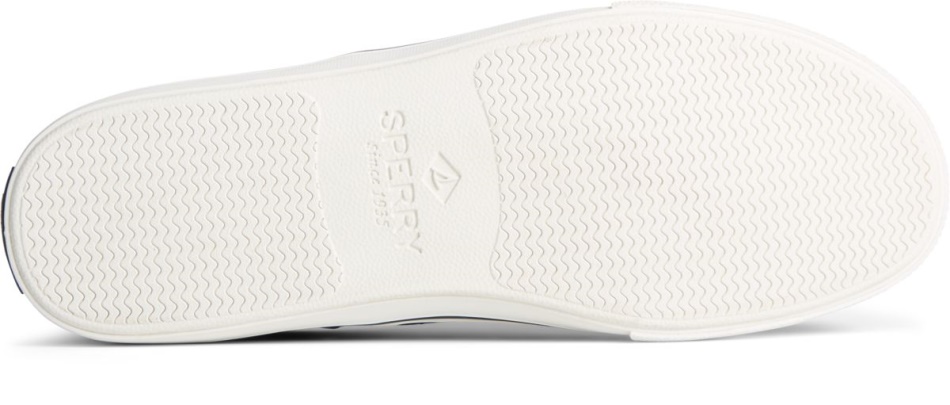 Striper II CVO Sneaker Sperry