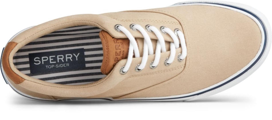 Striper II CVO Sneaker Sperry Chino