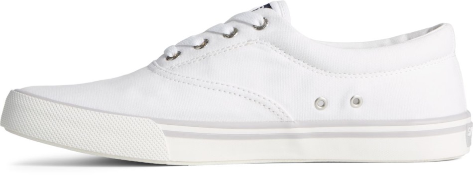Striper II CVO Sneaker White Sperry