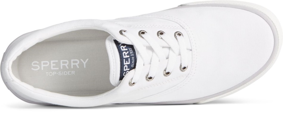 Striper II CVO Sneaker White Sperry