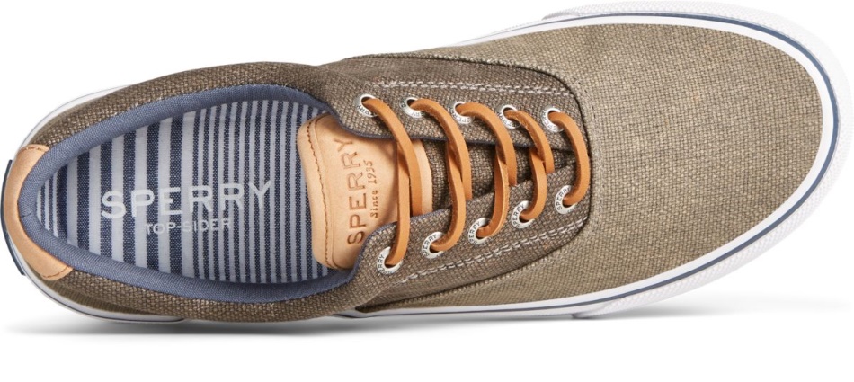 Striper II CVO Waxy Canvas Sneaker Olive Tonal Sperry