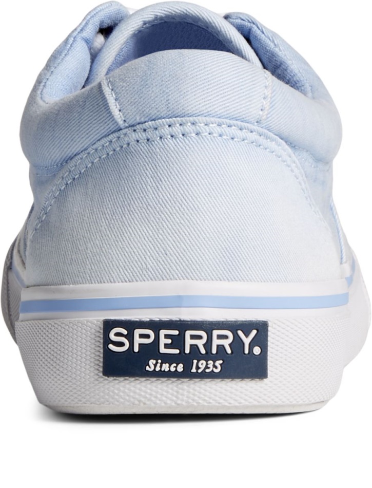 Striper II Ombre CVO Sneaker Sperry Blue